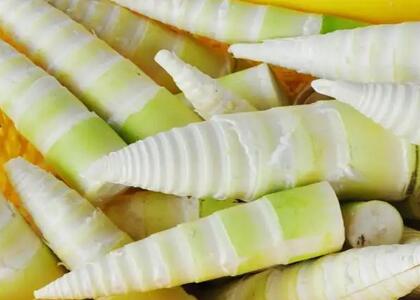 新鮮蔬菜配送:鮮竹筍